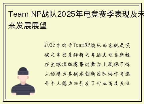 Team NP战队2025年电竞赛季表现及未来发展展望